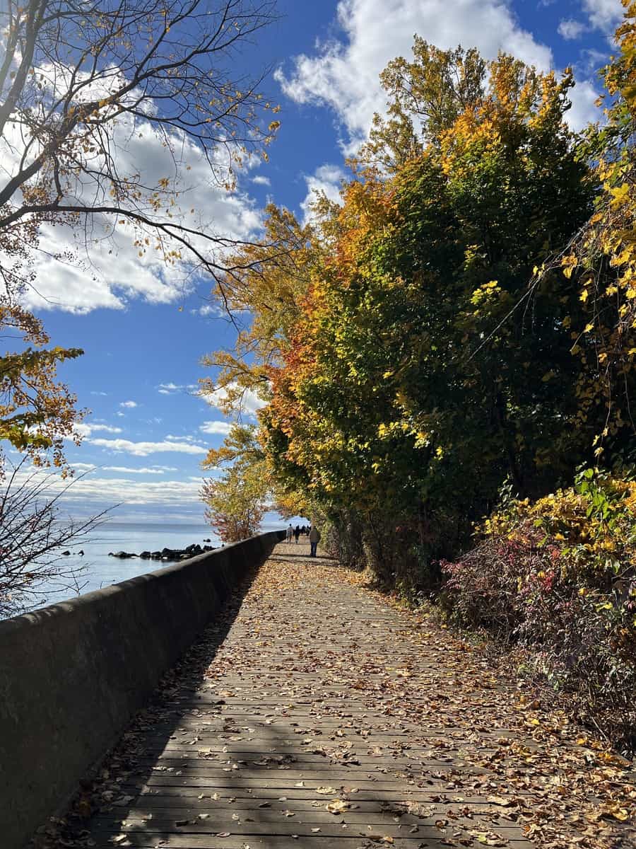 Boardwalk at the Toronto Islands on a fall day.