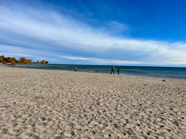 16 Best Beaches in Toronto: Your 2024 Beach Guide