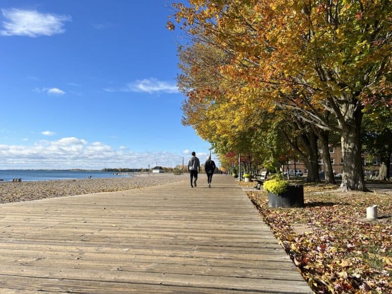 18 Things to Do in the Beaches Neighbourhood From a Local